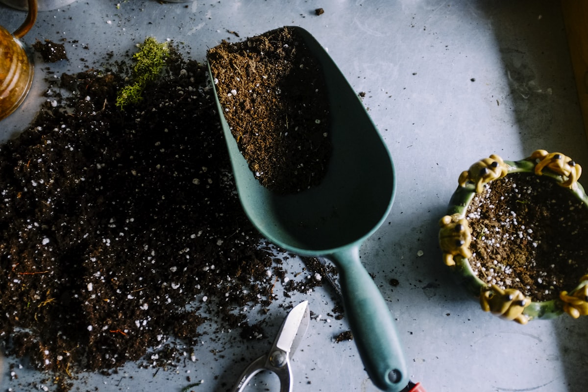 KI-gestützter Gartenplaner